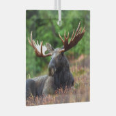 茂瀬 ガラスオーナメント (正面右)