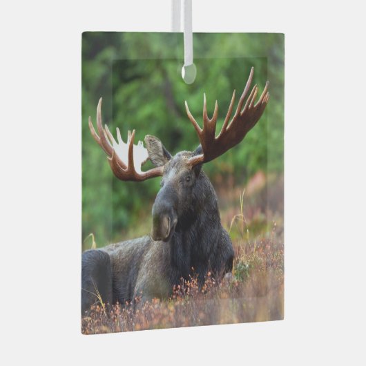 茂瀬 ガラスオーナメント (正面右)