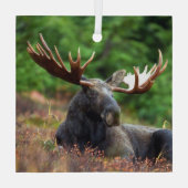 茂瀬 ガラスオーナメント (裏面)