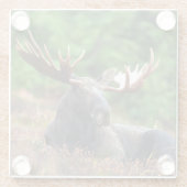 茂瀬 ガラスコースター (裏面)