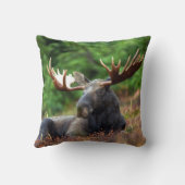 茂瀬 クッション (裏面)