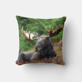 茂瀬 クッション (正面)