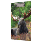 茂瀬 クリップボード (左)