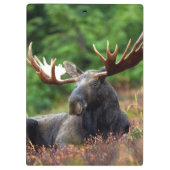 茂瀬 クリップボード (裏面)