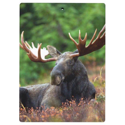 茂瀬 クリップボード (裏面)