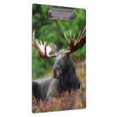 茂瀬 クリップボード (右)