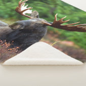 茂瀬 シェルパブランケット (3/4)