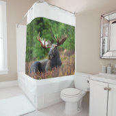 茂瀬 シャワーカーテン (インサイチュ)