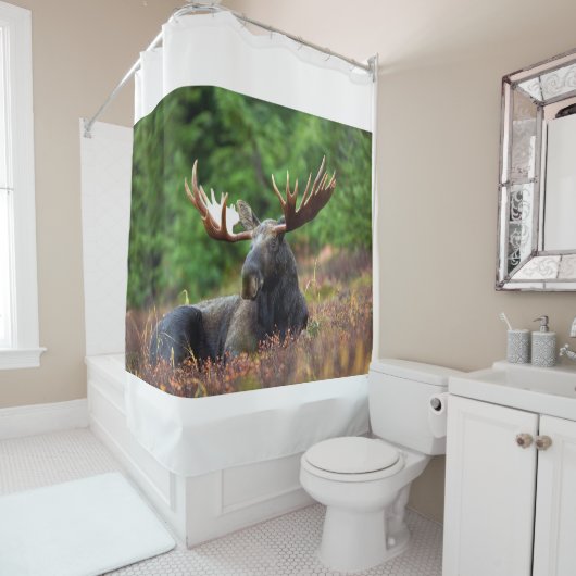 茂瀬 シャワーカーテン (インサイチュ)