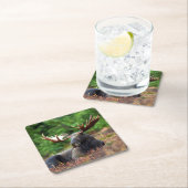 茂瀬 スクエアペーパーコースター (インサイチュ)