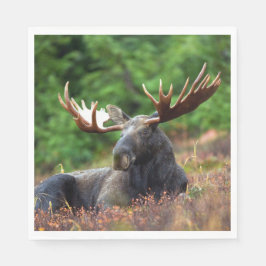 茂瀬 スタンダードランチョンナプキン