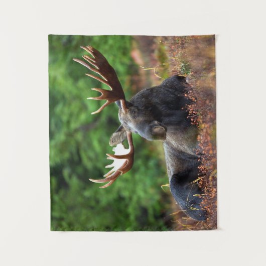 茂瀬 タペストリー (正面)