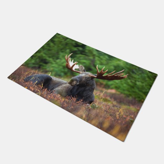 茂瀬 ドアマット (アングル)