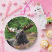 茂瀬 ペーパープレート (パーティー)