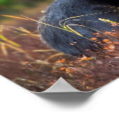 茂瀬 ポスター (角)