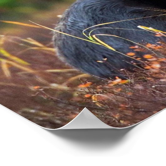 茂瀬 ポスター (角)