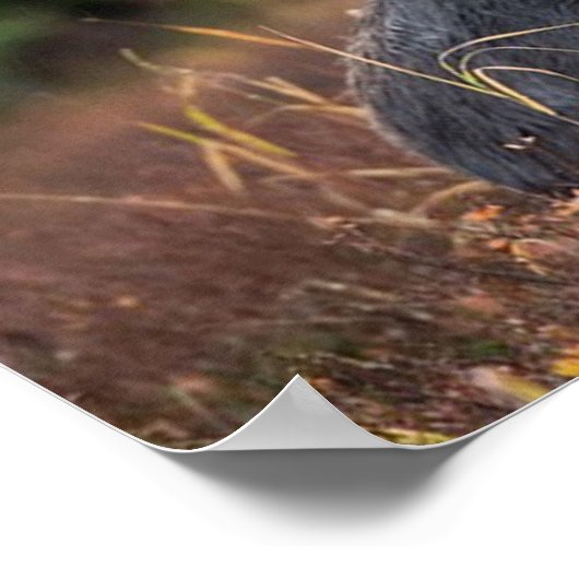 茂瀬 ポスター (角)