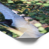 茂瀬 ポスター (角)