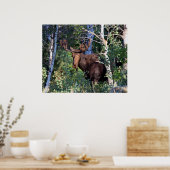 茂瀬 ポスター (キッチン)