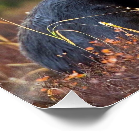 茂瀬 ポスター (コーナー)