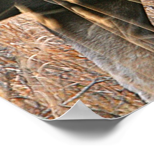 茂瀬 ポスター (角)