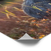 茂瀬 ポスター (角)