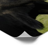 茂瀬 ポスター (角)