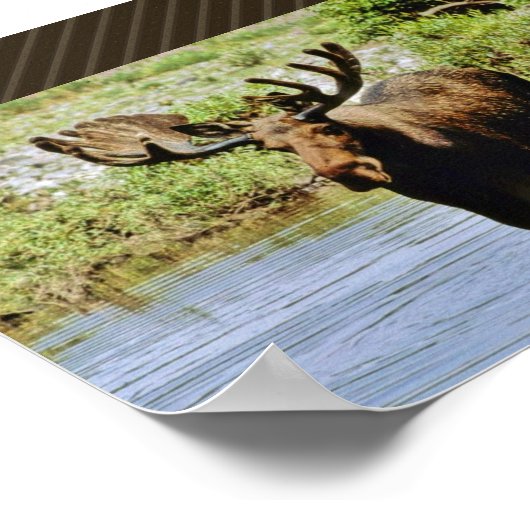 茂瀬 ポスター (角)