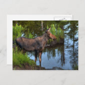 茂瀬 ポストカード (正面/裏面)