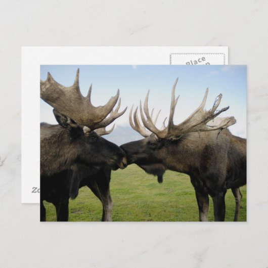 茂瀬 ポストカード (正面/裏面)