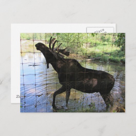 茂瀬 ポストカード (正面/裏面)