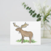 茂瀬 ポストカード (スタンド正面)