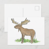 茂瀬 ポストカード (正面/裏面)