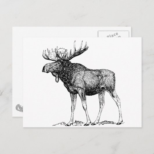 茂瀬 ポストカード (正面/裏面)