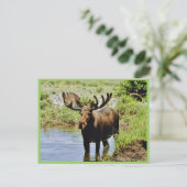 茂瀬 ポストカード (スタンド正面)