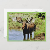 茂瀬 ポストカード (正面/裏面)