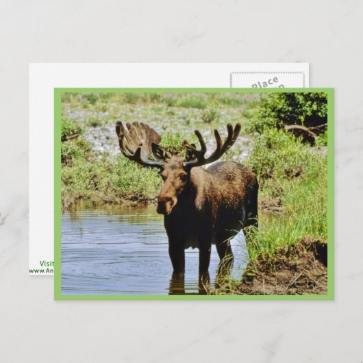 茂瀬 ポストカード (正面/裏面)