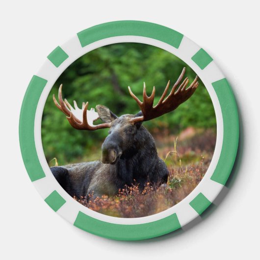 茂瀬 ポーカーチップ (裏面)