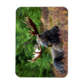 茂瀬 マグネット (縦)