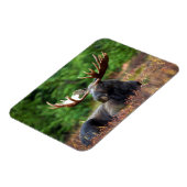 茂瀬 マグネット (左側)