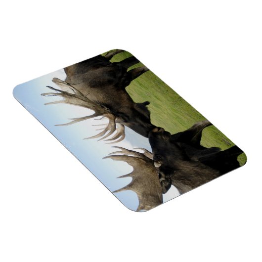 茂瀬 マグネット (右側)