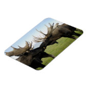 茂瀬 マグネット (左側)