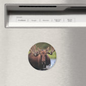 茂瀬 マグネット (インサイチュ (食洗機))