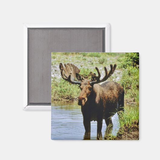 茂瀬 マグネット (正面/裏面)