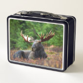 茂瀬 メタルランチボックス (裏面)