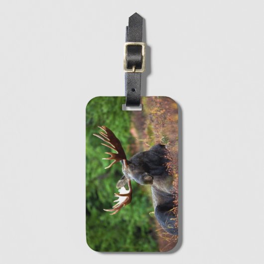 茂瀬 ラゲッジタグ (正面縦)