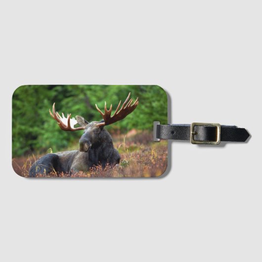 茂瀬 ラゲッジタグ (正面横)