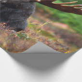 茂瀬 ラッピングペーパー (角)