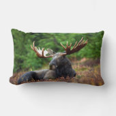 茂瀬 ランバークッション (正面)