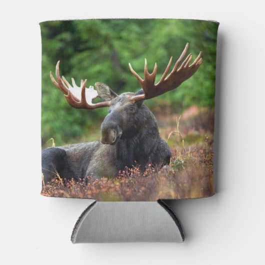 茂瀬 缶クーラー (正面)